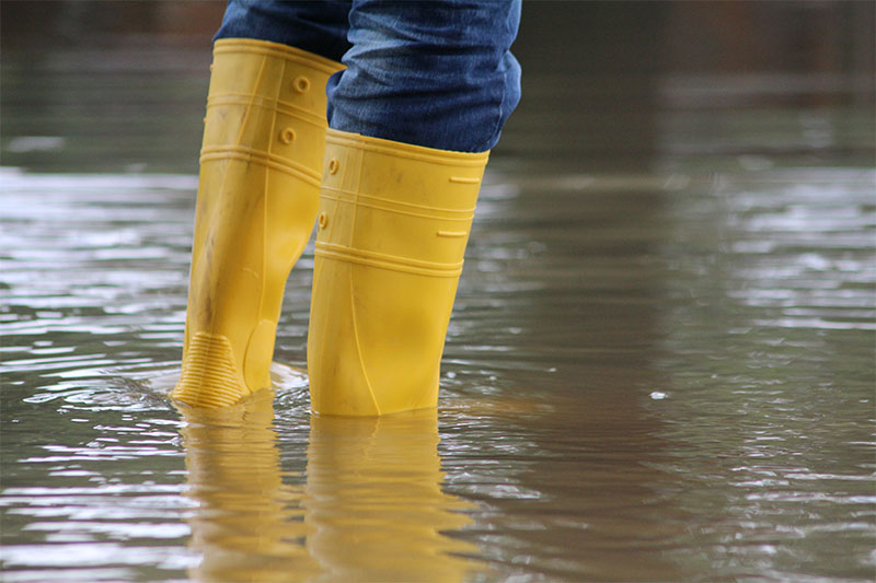 Person wearing yellow rain boots in ankle deep water