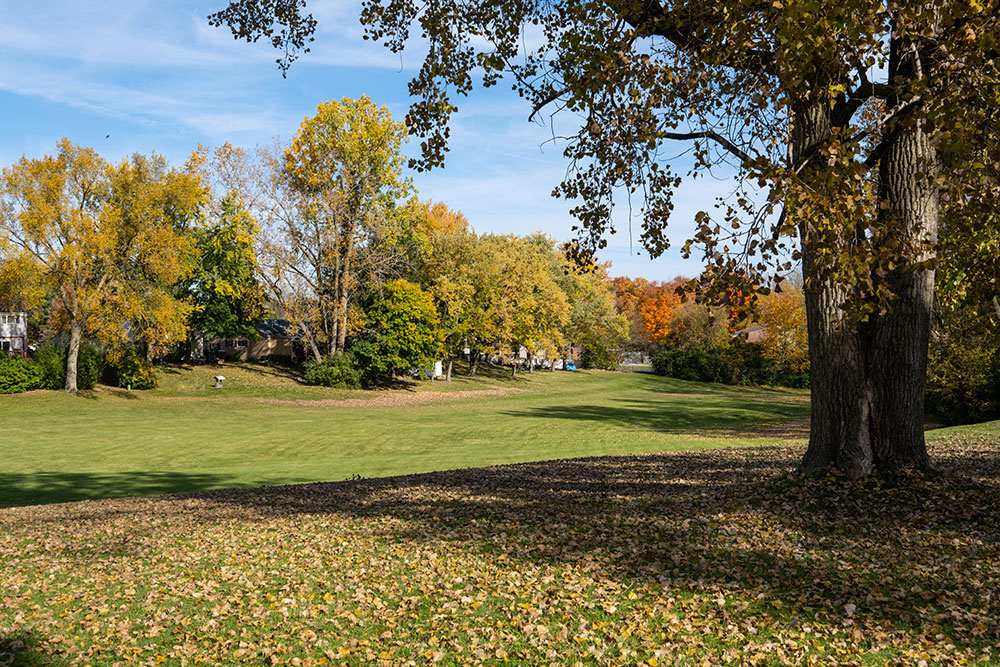 Fairway Hills Park open grassy area