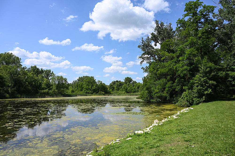 Hewens Creek shoreline