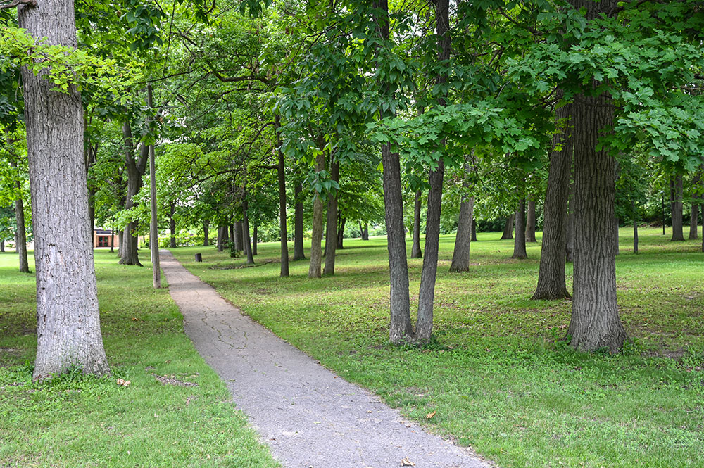 Nancy Park walking path