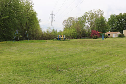 Pine Park open grassy area with playground in the distance