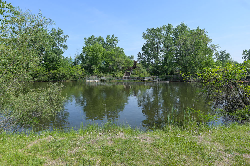 South Hydro Park wetland